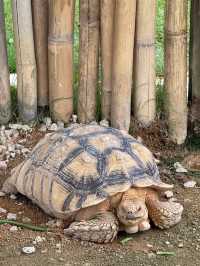 Batam Zoo Paradise