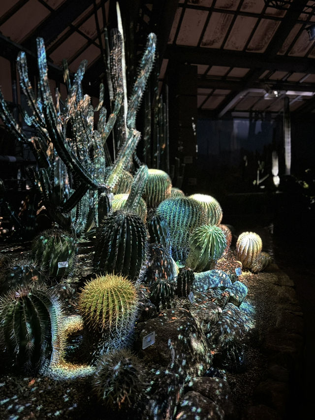 【京都】幻想的な光と音に包まれる植物園へ