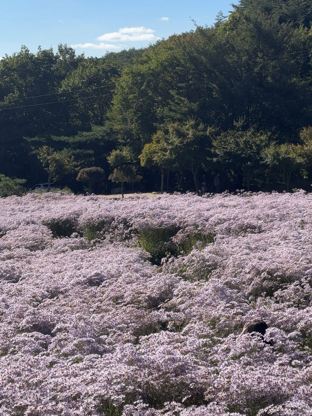 문경 여행 🌸