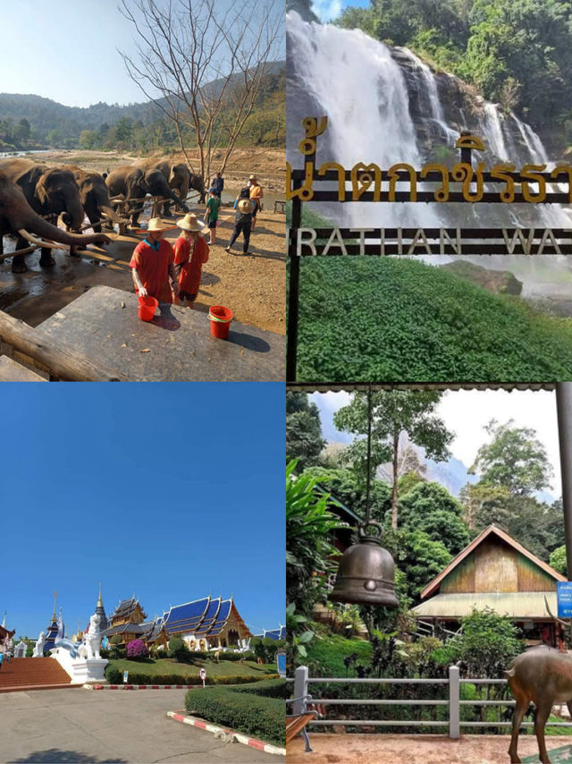心も体も癒される、チェンマイの旅🌿🐘✨