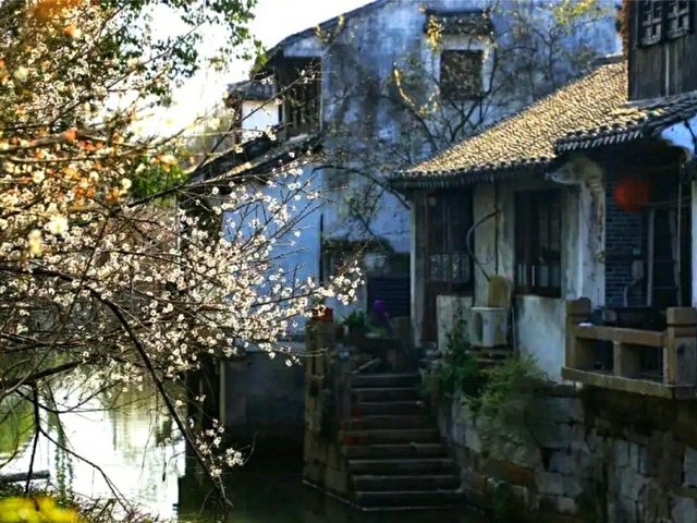 #ReflectionsOfFengjing – A Moment in Fengjing Ancient Town