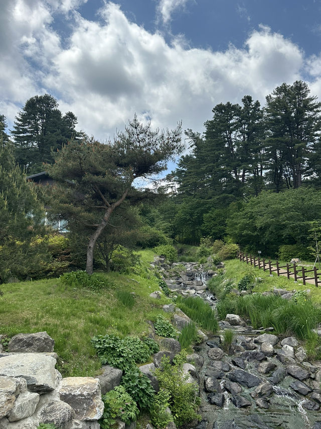 🧘‍♂️자연과 함께 심호흡하기 좋은 🌳 가평 자연 휴양림 봄여행지 추천 🌼
