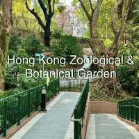 🌿🐒 Hong Kong’s Backyard Paradise — Deep Dive into the Zoological & Botanical Gardens!
