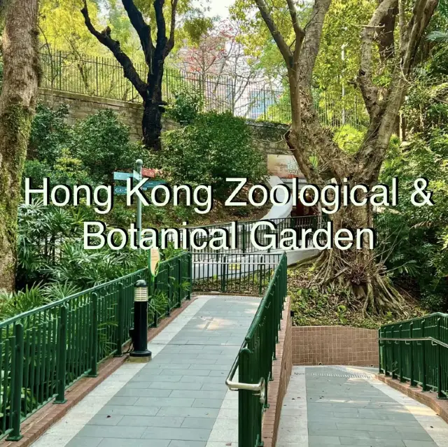 香港的後花園天堂——深入探索動植物公園！