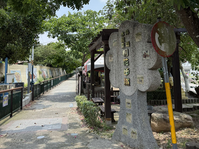 台中外埔｜高鐵觀景秘境～水流東桐花步道🌸