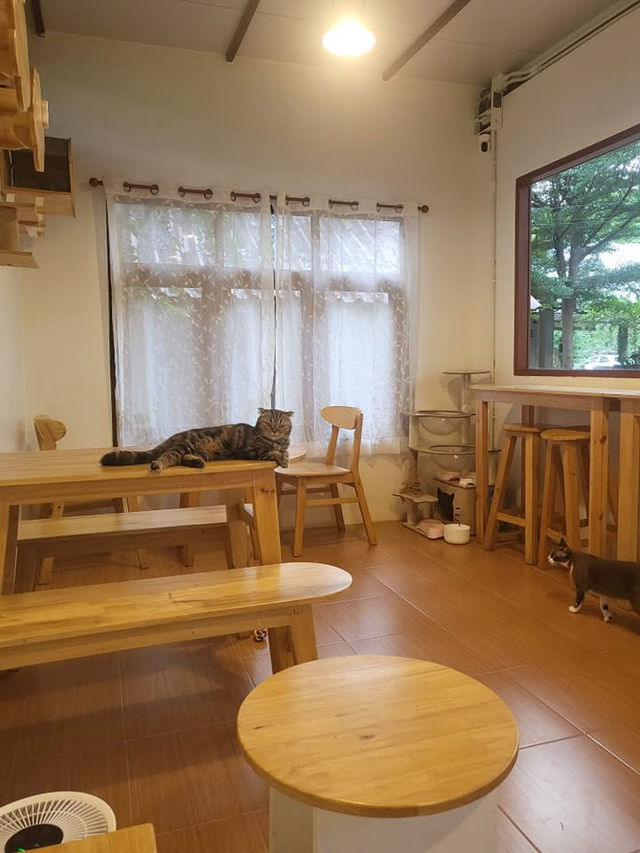 Niji Cafe 