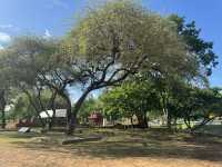 วัดโบราณ เมืองอยุธยา