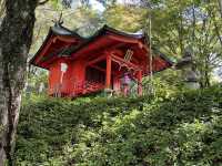 神聖なエネルギーに包まれる、箱根神社＆九頭龍神社へ