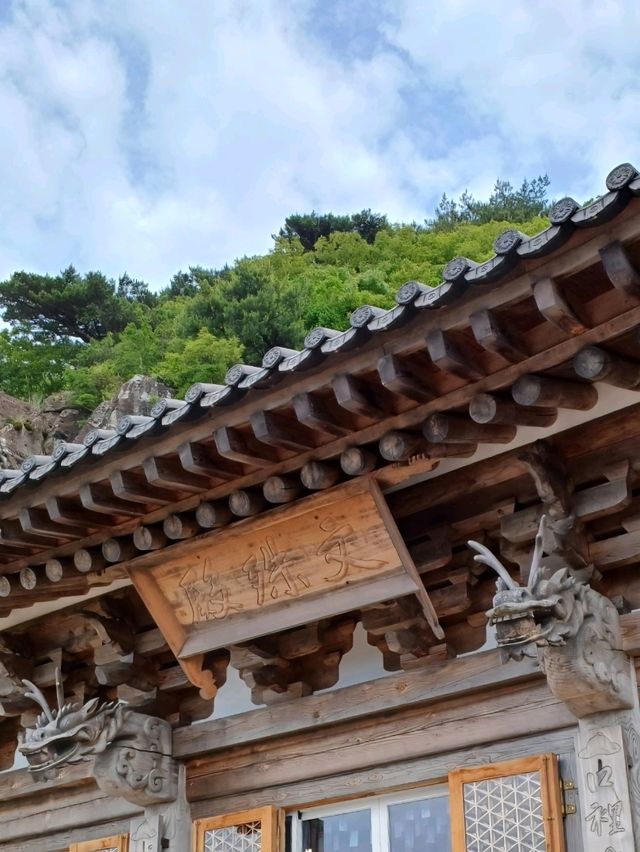 바다와 숲이 만나는 천년의 산책