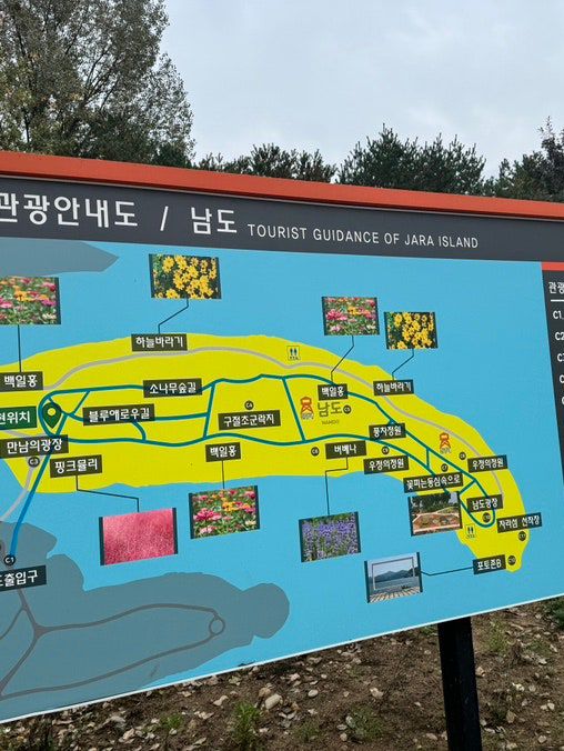 가평 자라섬 남이섬 남도 꽃정원 근교 나들이코스 추천