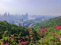 Huangjueya Old Street (黄桷垭老街), ฉงชิ่ง