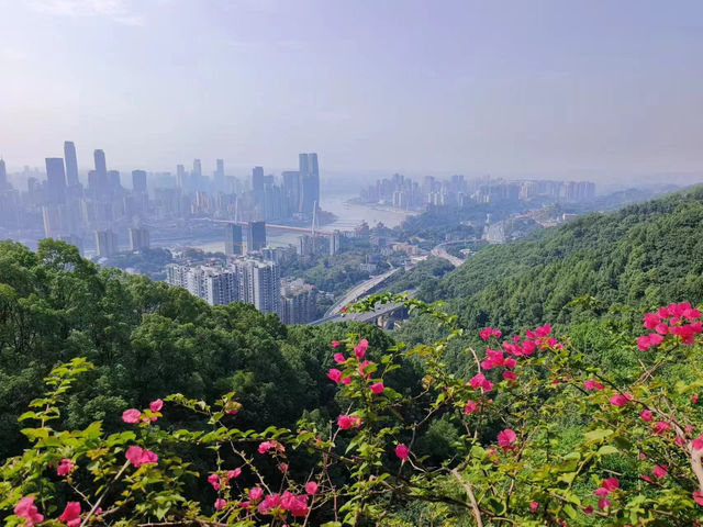 Huangjueya Old Street (黄桷垭老街), ฉงชิ่ง