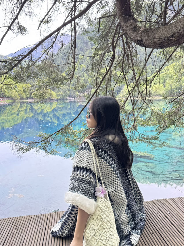  四川之旅：探索九寨溝、黃龍與四姑娘山的自然奇觀 🌄🌊
