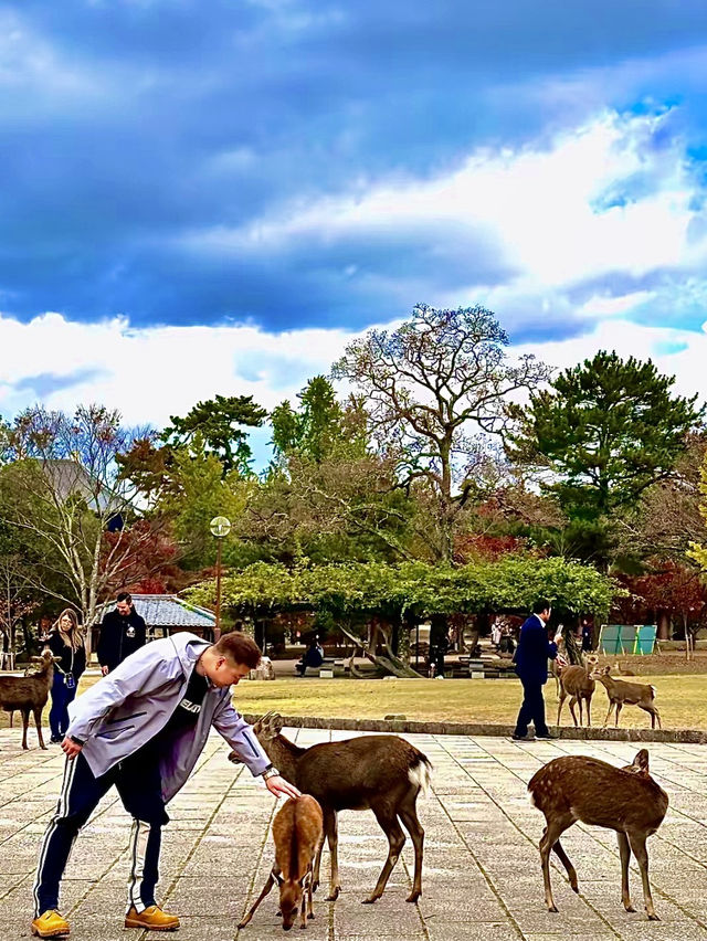โอซาก้า🇯🇵