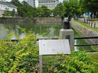 富山城跡公園，城市中的綠意時光