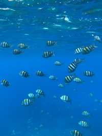🌊【綠島｜被風包圍的日子】
