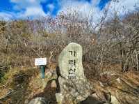 Forest Trails & Sea Breeze Feels on Geoje