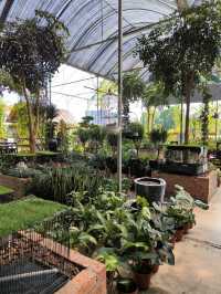 Budget Escape: A Café Hidden Among Plants in Desaru