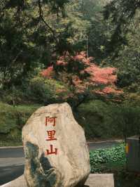 Taipei 8 Days Itinerary