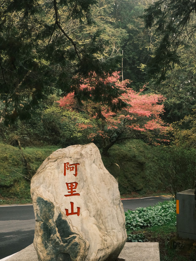 Taipei 8 Days Itinerary