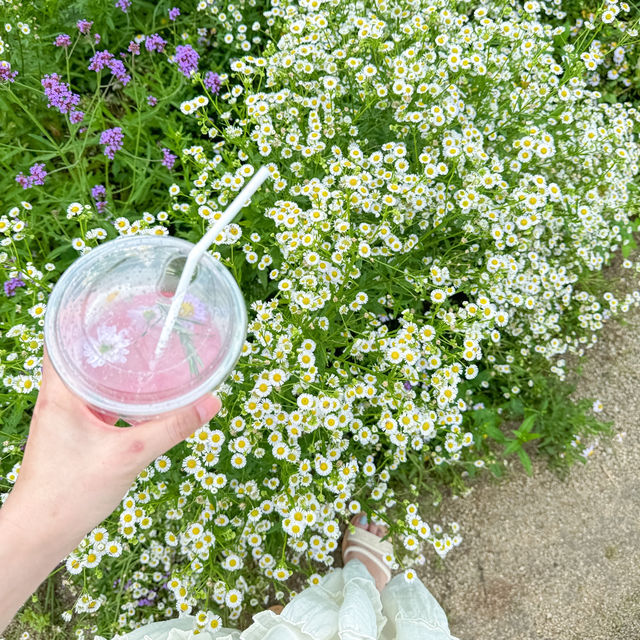 🪻🌸Cafe ดอกไม้เขาใหญ่หน้าฝน 🌸🪻