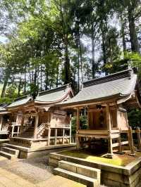 新潟-彌彥神社