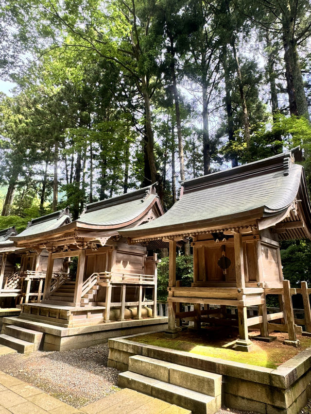 新潟-彌彥神社