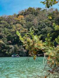 Into the Wild: Discover the Natural Wonders of Kilim Geoforest Park