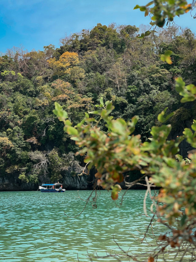 Into the Wild: Discover the Natural Wonders of Kilim Geoforest Park