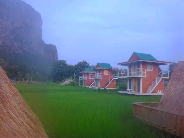 🌾 นอนฟิน กินหมูกระทะ กลางทุ่งนาเขียว 🍃