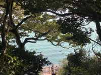 Odong Island: A Serene Coastal Escape Just Steps from Yeosu