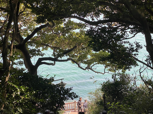 Odong Island: A Serene Coastal Escape Just Steps from Yeosu