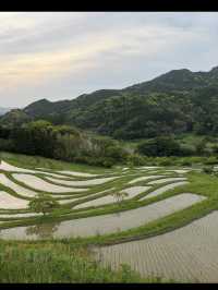 🌾日本の原風景に癒される「大山千枚田」で心洗われる旅を