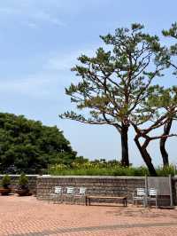 한국 추천 투어 명소 오두산 전망대