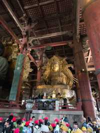 Nara park - must visit place in Japan