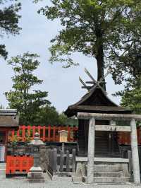 大阪交通攻略｜大阪至京都景點