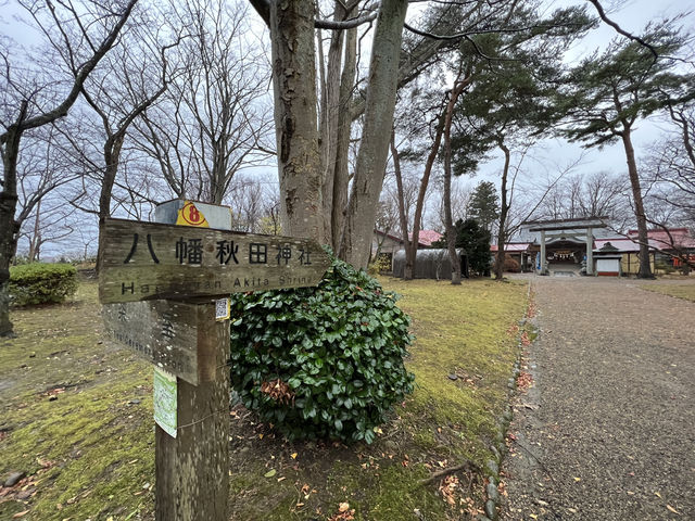 🌧️ Moody Skies Over Kubota Castle Ruins – A Quiet Slice of History