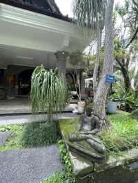 🇮🇩 Zest Ubud in Bali, Indonesia 