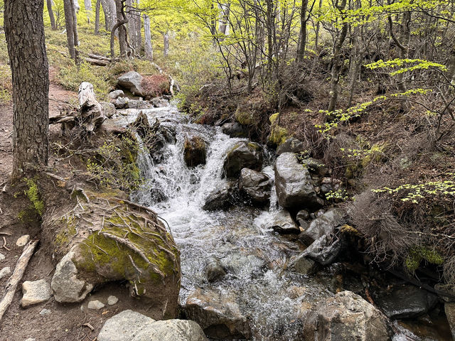【フィッツロイ登山｜氷河の宝石と尖塔が出迎える、絶景への挑戦】