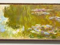 【ウィーン・アルベルティーナ美術館】🎨王宮の一角で名画と出会う