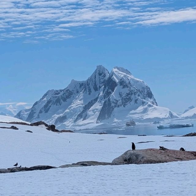 ペンギンの楽園！南極・ペーターマン島の静寂と絶景