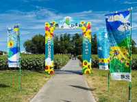 Hokuryu Sunflower Village
