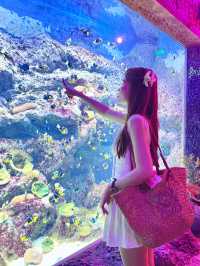 Vinwonders Phu Quoc