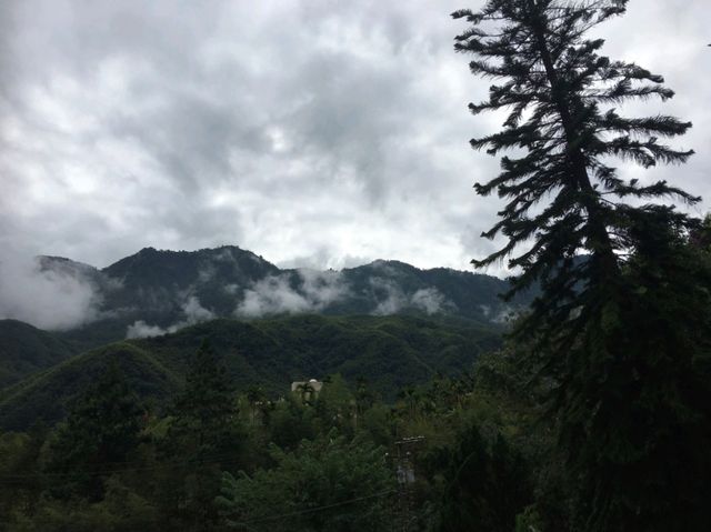 🌲隱藏在南投山谷間的一座阿蘭若