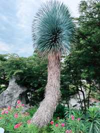 Discover the Beauty of the Cloud Forest Dome and Its Scenic Surroundings 