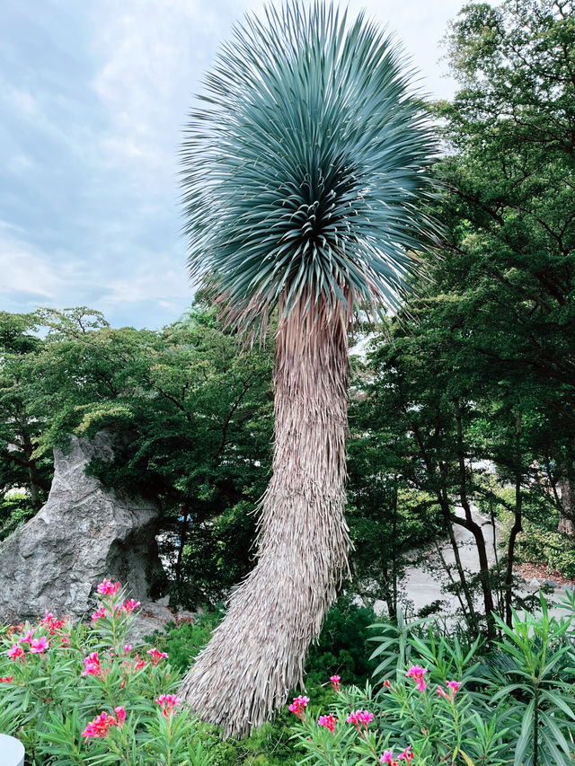 Discover the Beauty of the Cloud Forest Dome and Its Scenic Surroundings 