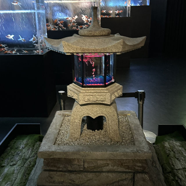 【銀座】 アートアクアリウム銀座美術館 GINZA