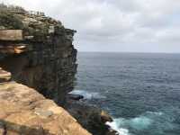 🌅 Watsons Bay – Laid-back Coastal Charm with Harbour Views