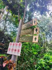 Find Your Perfect View: A Serene & Scenic Getaway at Penang Hill"