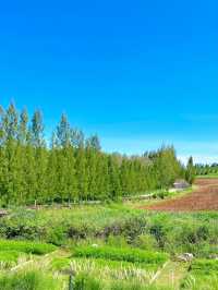Sol Glamping Khaoyai